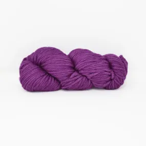 Chunky - Holly Hock