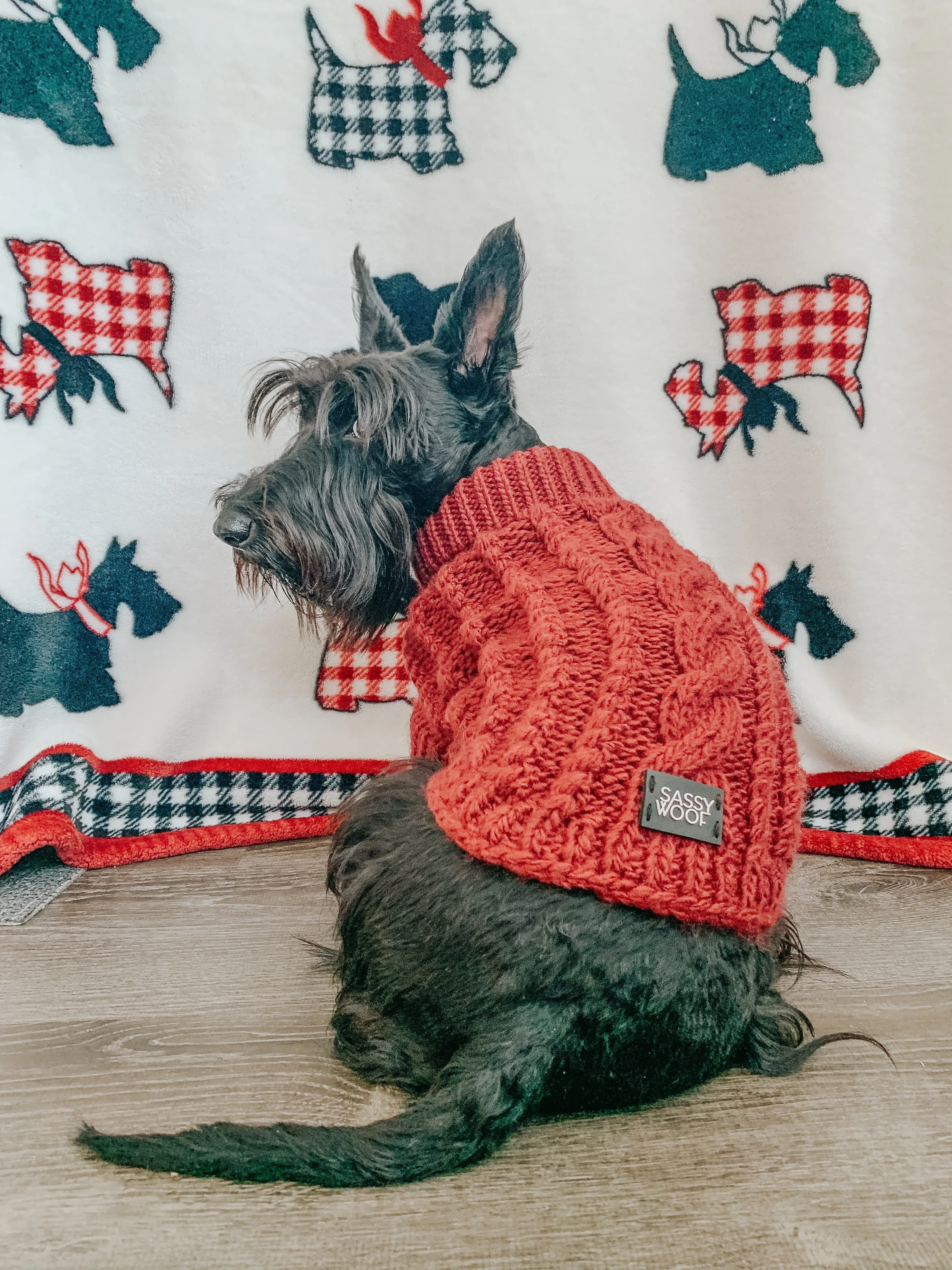 Dog Cable Knit Sweater - Maroon
