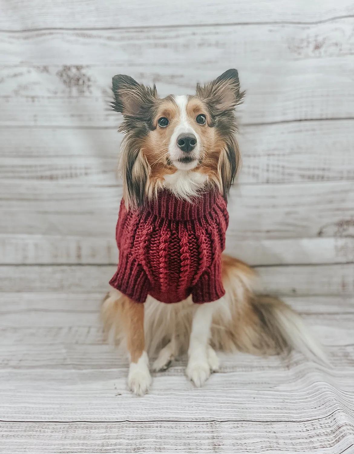 Dog Cable Knit Sweater - Maroon