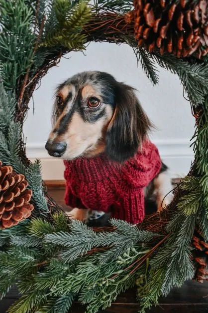 Dog Cable Knit Sweater - Maroon