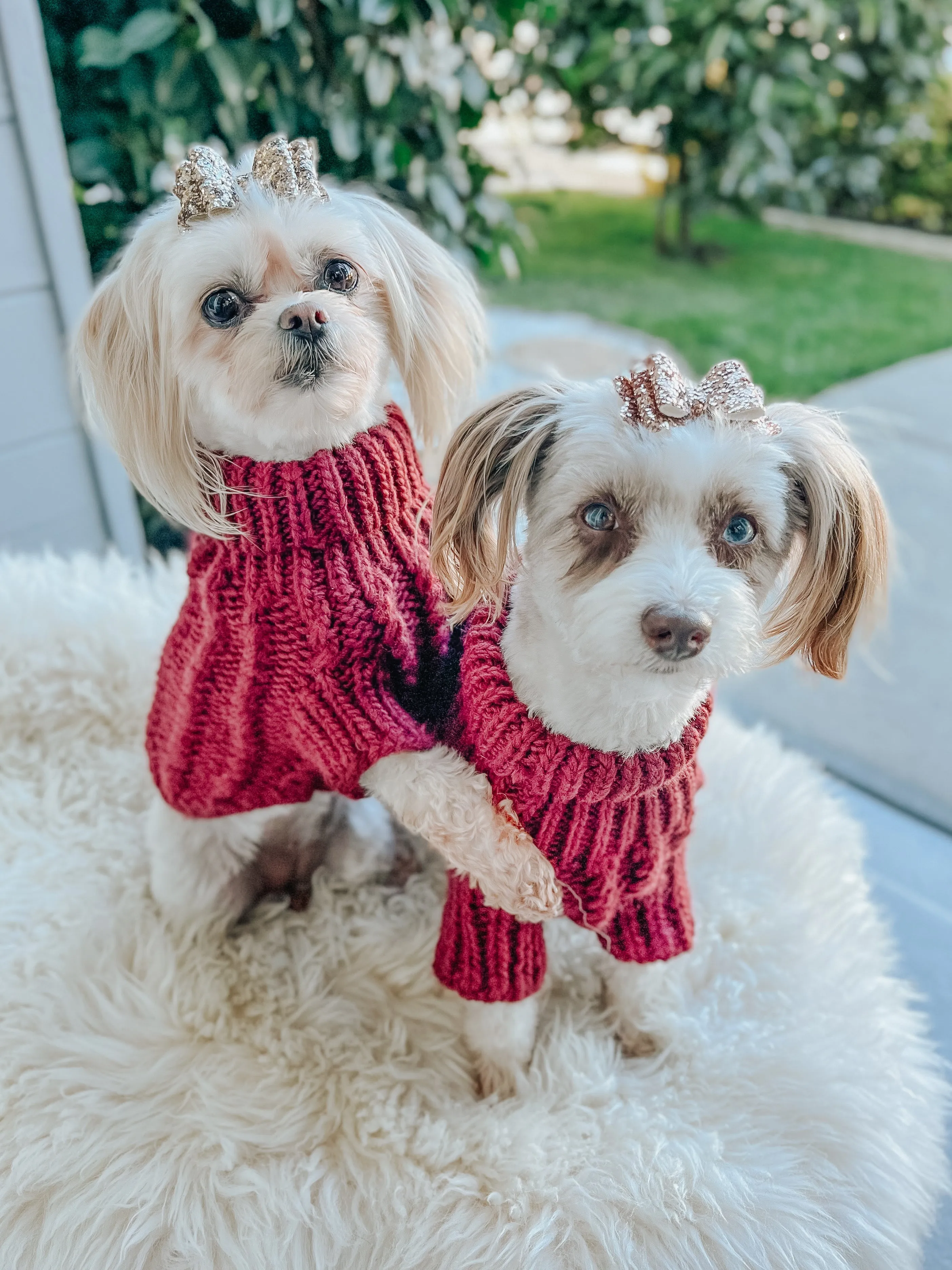 Dog Cable Knit Sweater - Maroon